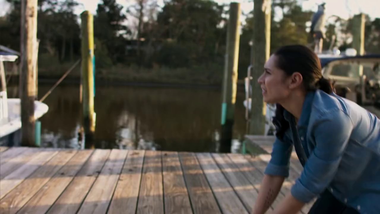 Mississippi River Sharks (2017) WEBRip Hindi + Tam + Eng 720p x264 AVC AAC 2.0.mkv.0004